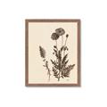 Picture of Vintage Botanical I  _GroupedProduct_Rectangle_Portrait_Framed_Matted_