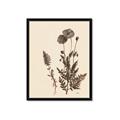Picture of Vintage Botanical I  _GroupedProduct_Rectangle_Portrait_Framed_Matted_