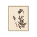 Picture of Vintage Botanical I  _GroupedProduct_Rectangle_Portrait_Framed_Matted_