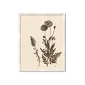Picture of Vintage Botanical I  _GroupedProduct_Rectangle_Portrait_Framed_Matted_