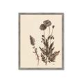 Picture of Vintage Botanical I  _GroupedProduct_Rectangle_Portrait_Framed_Matted_