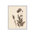 Picture of Vintage Botanical I  _GroupedProduct_Rectangle_Portrait_Framed_Matted_
