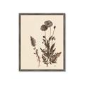 Picture of Vintage Botanical I  _GroupedProduct_Rectangle_Portrait_Framed_Matted_