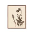 Picture of Vintage Botanical I  _GroupedProduct_Rectangle_Portrait_Framed_Matted_