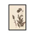 Picture of Vintage Botanical I  _GroupedProduct_Rectangle_Portrait_Framed_Matted_