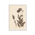 Picture of Vintage Botanical I  _GroupedProduct_Rectangle_Portrait_Framed_Matted_