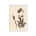 Picture of Vintage Botanical I  _GroupedProduct_Rectangle_Portrait_Framed_Matted_