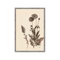 Picture of Vintage Botanical I  _GroupedProduct_Rectangle_Portrait_Framed_Matted_