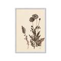 Picture of Vintage Botanical I  _GroupedProduct_Rectangle_Portrait_Framed_Matted_