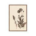 Picture of Vintage Botanical I  _GroupedProduct_Rectangle_Portrait_Framed_Matted_