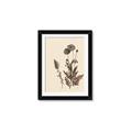 Picture of Vintage Botanical I  _GroupedProduct_Rectangle_Portrait_Framed_Matted_
