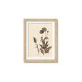 Picture of Vintage Botanical I  _GroupedProduct_Rectangle_Portrait_Framed_Matted_