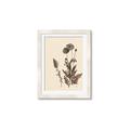 Picture of Vintage Botanical I  _GroupedProduct_Rectangle_Portrait_Framed_Matted_