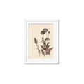 Picture of Vintage Botanical I  _GroupedProduct_Rectangle_Portrait_Framed_Matted_