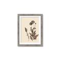 Picture of Vintage Botanical I  _GroupedProduct_Rectangle_Portrait_Framed_Matted_