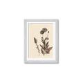Picture of Vintage Botanical I  _GroupedProduct_Rectangle_Portrait_Framed_Matted_