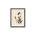 Picture of Vintage Botanical I  _GroupedProduct_Rectangle_Portrait_Framed_Matted_