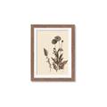 Picture of Vintage Botanical I  _GroupedProduct_Rectangle_Portrait_Framed_Matted_