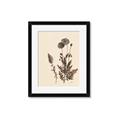 Picture of Vintage Botanical I  _GroupedProduct_Rectangle_Portrait_Framed_Matted_