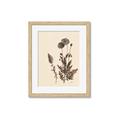 Picture of Vintage Botanical I  _GroupedProduct_Rectangle_Portrait_Framed_Matted_