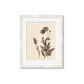 Picture of Vintage Botanical I  _GroupedProduct_Rectangle_Portrait_Framed_Matted_