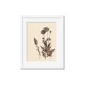 Picture of Vintage Botanical I  _GroupedProduct_Rectangle_Portrait_Framed_Matted_