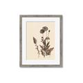 Picture of Vintage Botanical I  _GroupedProduct_Rectangle_Portrait_Framed_Matted_