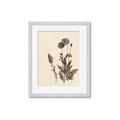 Picture of Vintage Botanical I  _GroupedProduct_Rectangle_Portrait_Framed_Matted_