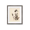 Picture of Vintage Botanical I  _GroupedProduct_Rectangle_Portrait_Framed_Matted_
