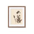 Picture of Vintage Botanical I  _GroupedProduct_Rectangle_Portrait_Framed_Matted_