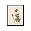 Picture of Vintage Botanical I  _GroupedProduct_Rectangle_Portrait_Framed_Matted_