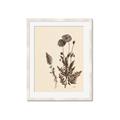 Picture of Vintage Botanical I  _GroupedProduct_Rectangle_Portrait_Framed_Matted_