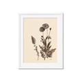 Picture of Vintage Botanical I  _GroupedProduct_Rectangle_Portrait_Framed_Matted_