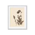 Picture of Vintage Botanical I  _GroupedProduct_Rectangle_Portrait_Framed_Matted_