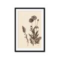 Picture of Vintage Botanical I  _GroupedProduct_Rectangle_Portrait_Framed_Matted_