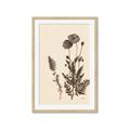 Picture of Vintage Botanical I  _GroupedProduct_Rectangle_Portrait_Framed_Matted_