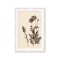 Picture of Vintage Botanical I  _GroupedProduct_Rectangle_Portrait_Framed_Matted_