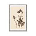 Picture of Vintage Botanical I  _GroupedProduct_Rectangle_Portrait_Framed_Matted_