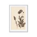 Picture of Vintage Botanical I  _GroupedProduct_Rectangle_Portrait_Framed_Matted_
