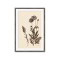 Picture of Vintage Botanical I  _GroupedProduct_Rectangle_Portrait_Framed_Matted_