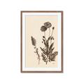 Picture of Vintage Botanical I  _GroupedProduct_Rectangle_Portrait_Framed_Matted_