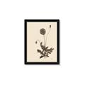 Picture of Vintage Botanical II  _GroupedProduct_Rectangle_Portrait_Framed_Matted_