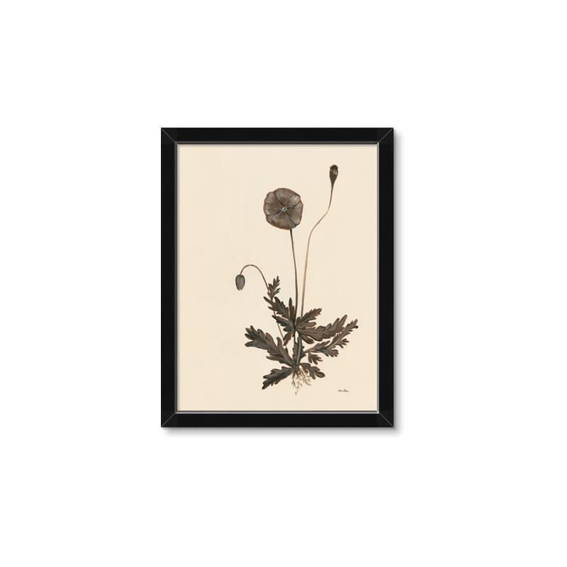Picture of Vintage Botanical II  _GroupedProduct_Rectangle_Portrait_Framed_Matted_