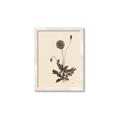 Picture of Vintage Botanical II  _GroupedProduct_Rectangle_Portrait_Framed_Matted_
