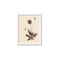 Picture of Vintage Botanical II  _GroupedProduct_Rectangle_Portrait_Framed_Matted_