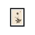 Picture of Vintage Botanical II  _GroupedProduct_Rectangle_Portrait_Framed_Matted_