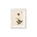 Picture of Vintage Botanical II  _GroupedProduct_Rectangle_Portrait_Framed_Matted_