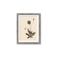 Picture of Vintage Botanical II  _GroupedProduct_Rectangle_Portrait_Framed_Matted_