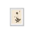 Picture of Vintage Botanical II  _GroupedProduct_Rectangle_Portrait_Framed_Matted_