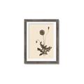 Picture of Vintage Botanical II  _GroupedProduct_Rectangle_Portrait_Framed_Matted_